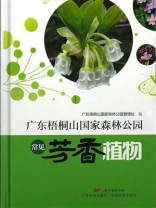 广东梧桐山国家森林公园常见芳香植物