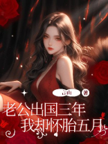 老公出国三年我却怀胎五月