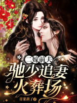 二嫁前夫，驰少追妻火葬场
