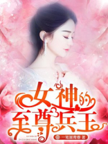 女神的至尊兵王