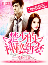 楚少的神秘新妻