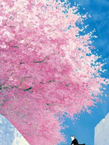 车祸后，商界大佬成了我的小娇夫