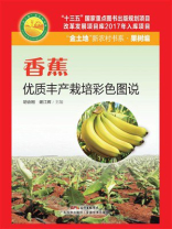香蕉优质丰产栽培彩色图说