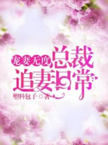 宠妻无度：总裁追妻日常