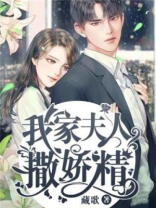 我家夫人撒娇精