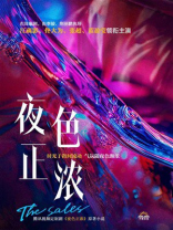 sales夫妇（江疏影、佟大为等主演电视剧《夜色正浓》原著）