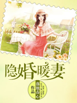 隐婚暖妻 隐婚暖妻