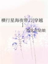 横行星海夜带刀[穿越]