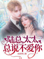 陆总，太太总说不爱你
