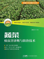 蔬菜病虫害诊断与防治技术（新时代乡村振兴丛书）