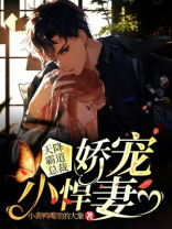 天降霸道总裁：娇宠小悍妻