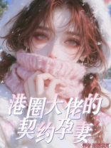 港圈大佬的契约孕妻