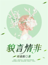 貌言情非