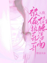 入夜，被偏执哥哥掐腰湿吻