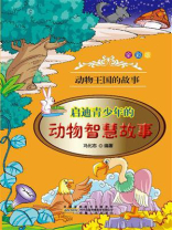 启迪青少年的动物智慧故事