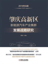 肇庆高新区新能源汽车产业集群发展战略研究