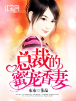 总裁的蜜宠香妻