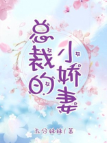 总裁的小娇妻
