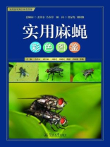 实用麻蝇彩色图鉴