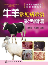牛羊常见病诊治彩色图谱 牛羊常见病诊治彩色图谱