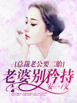 总裁老公要二胎：老婆别矜持