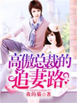 高傲总裁的追妻路