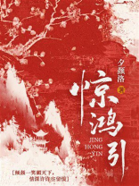 惊鸿引