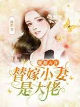 暖婚入骨：替嫁小妻是大佬