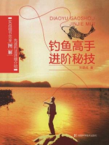 钓鱼高手进阶秘技 钓鱼高手进阶秘技