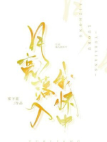 月亮落入我怀中