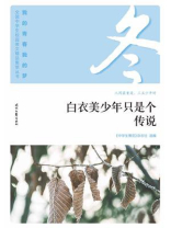 白衣美少年只是个传说
