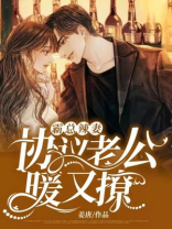 霸总辣妻：协议老公暖又撩