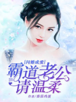 闪婚成爱：霸道老公请温柔