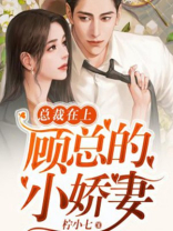总裁在上：顾总的小娇妻