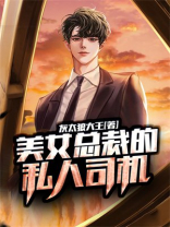 美女总裁的私人司机