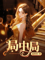 局中局