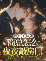 说好了试婚，商总怎么夜夜敲房门