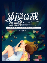 霸道总裁追妻路