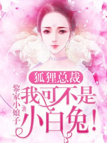 狐狸总裁，我可不是小白兔！