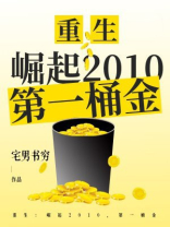 重生：崛起2010，第一桶金