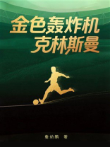 金色轰炸机克林斯曼