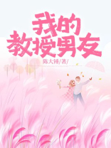 我的教授男友
