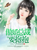 傲娇总裁要抱抱
