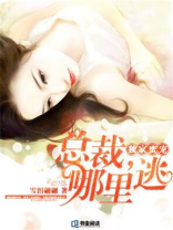 独家蜜宠：总裁，哪里逃