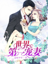 世界第一宠妻