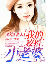 婚情袭人：我的狡猾小老婆！
