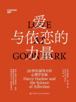 爱与依恋的力量