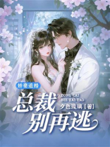 娇妻追婚：总裁别再逃