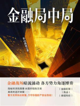 金融局中局