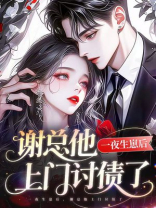 一夜生崽后，谢总他上门讨债了